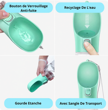 Gourde Portable pour Chien – Hydratez votre compagnon partout, à tout moment